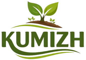 Kumizh Eco Tableware Solutions
